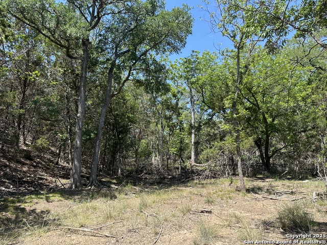 106 E Mari-b Dr., Center Point, Texas image 17