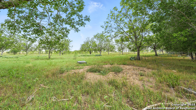 10142 Fm 537, Stockdale, Texas image 33