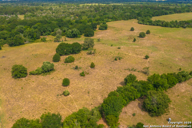 (TRACT 1) 1050 Fm 2104, Smithville, Texas image 12