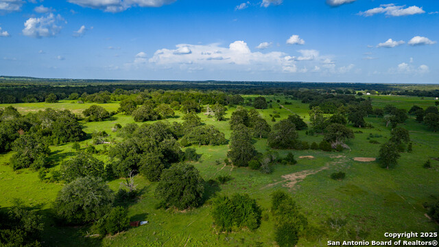 (TRACT 2) 1050 Fm 2104, Smithville, Texas image 29