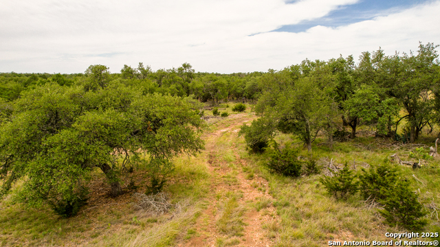 996 Fm 479, Mountain Home, Texas image 17