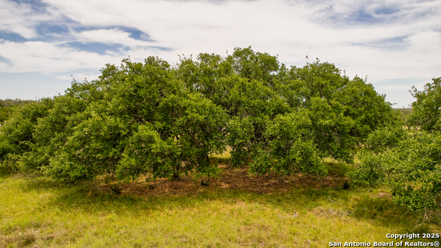 996 Fm 479, Mountain Home, Texas image 5