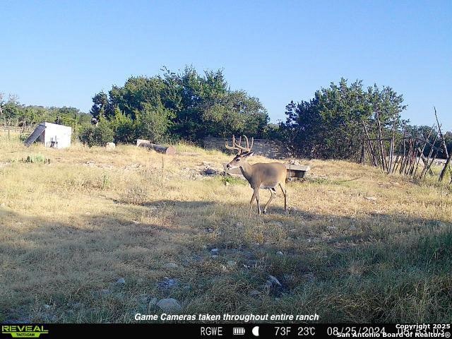 TBD Cr 140, Junction, Texas image 35