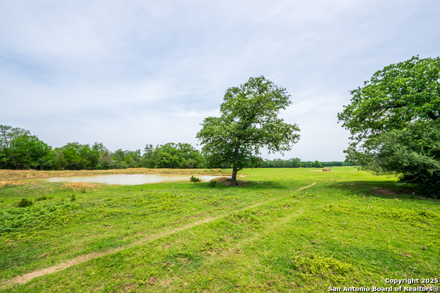 3671 County Road 455, Thorndale, Texas image 19