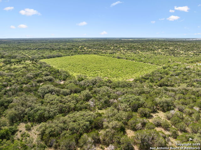 547 County Road 3401, Hondo, Texas image 18