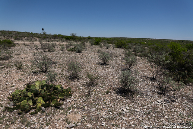 1935 Wolf Springs, Comstock, Texas image 13