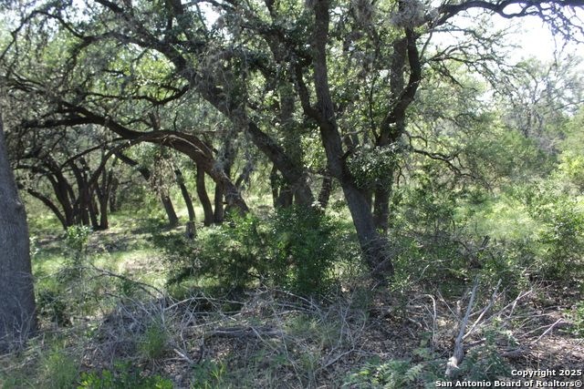 2221 W Ranch Rd 337, Leakey, Texas image 11