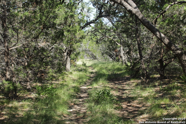 2221 W Ranch Rd 337, Leakey, Texas image 13
