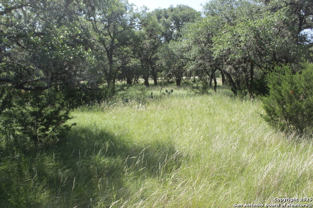 2221 W Ranch Rd 337, Leakey, Texas image 7