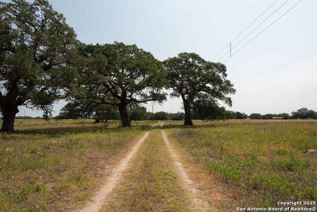 1003 County Road 334, Stockdale, Texas image 1