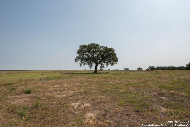 1003 County Road 334, Stockdale, Texas image 14