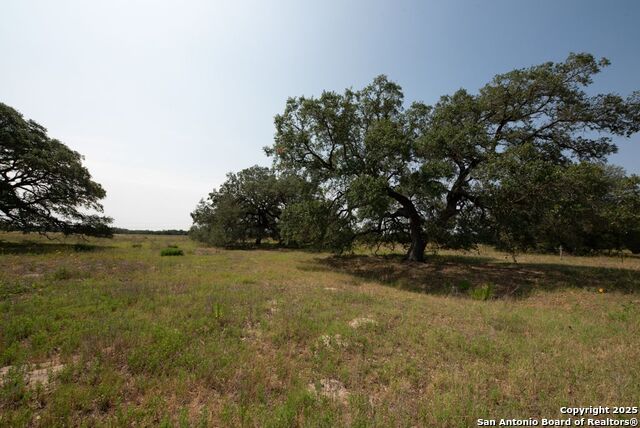 1003 County Road 334, Stockdale, Texas image 16