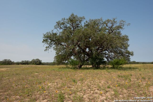 1003 County Road 334, Stockdale, Texas image 17