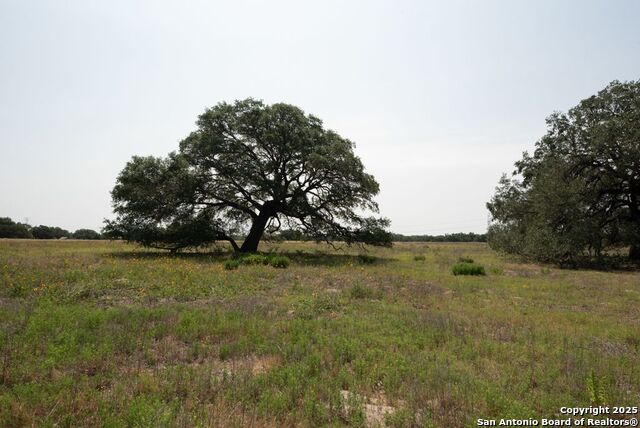 1003 County Road 334, Stockdale, Texas image 21