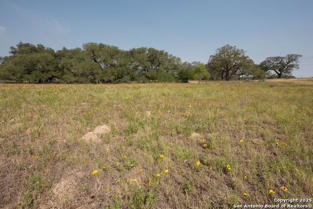 1003 County Road 334, Stockdale, Texas image 28