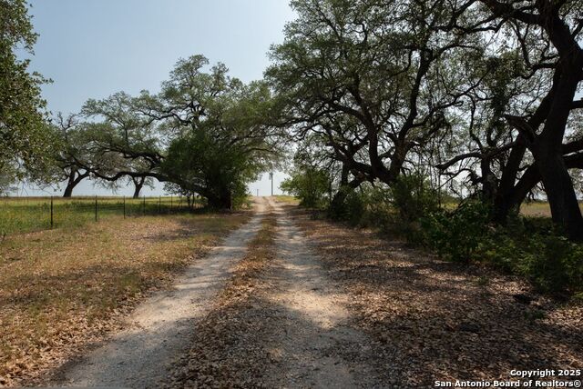 1003 County Road 334, Stockdale, Texas image 4