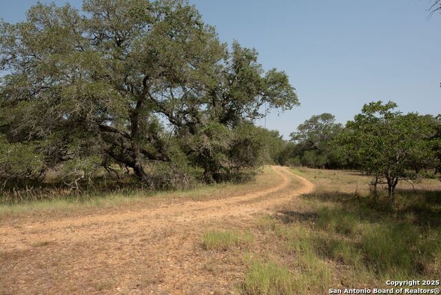 1003 County Road 334, Stockdale, Texas image 6