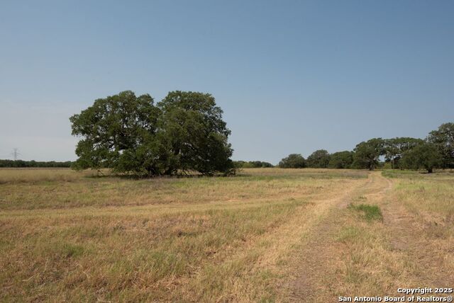 1003 County Road 334, Stockdale, Texas image 7
