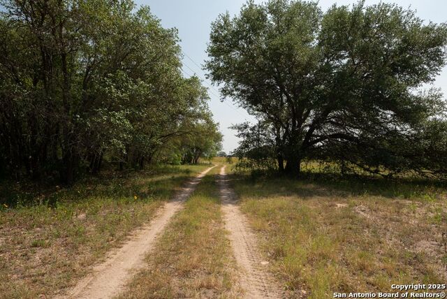 1003 County Road 334, Stockdale, Texas image 8