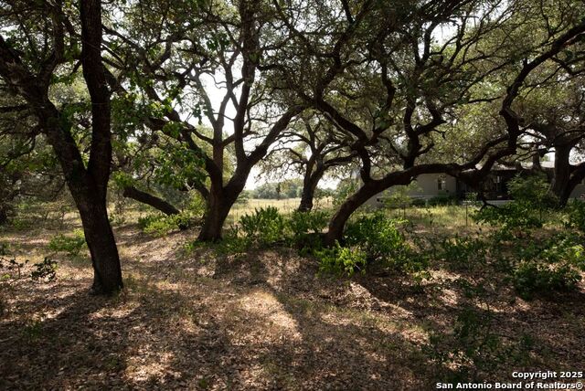 1003 County Road 334, Stockdale, Texas image 9