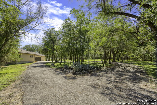 155 Woodrow Center, Kingsbury, Texas image 46