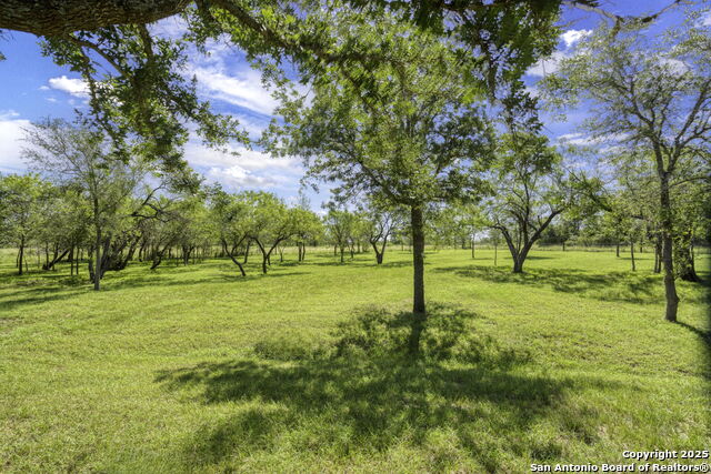 155 Woodrow Center, Kingsbury, Texas image 48