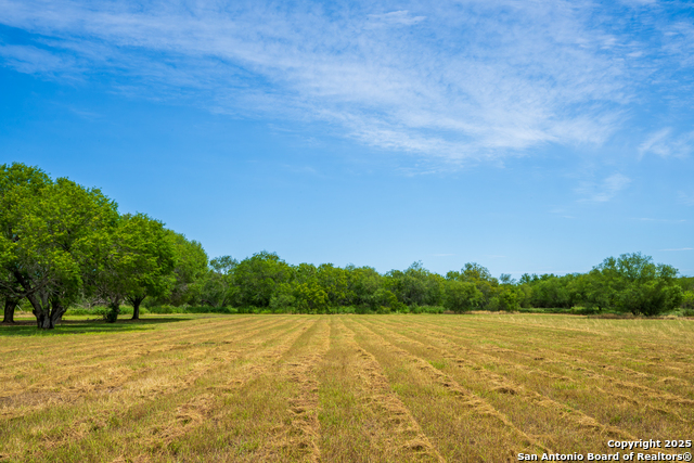 202 Ranch Rd, Mathis, Texas image 13