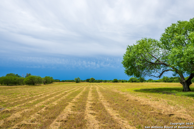 202 Ranch Rd, Mathis, Texas image 14