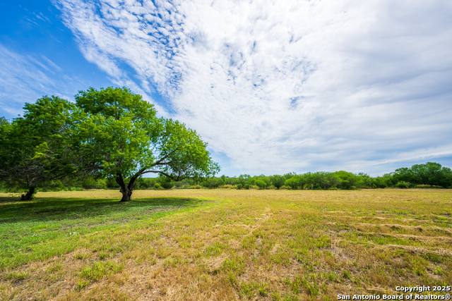 202 Ranch Rd, Mathis, Texas image 8