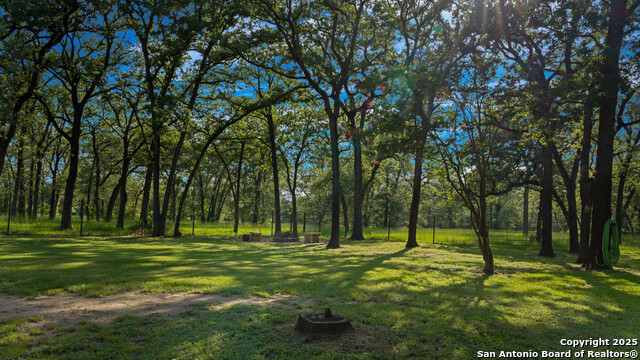 8058 Milam County Road 455, Thorndale, Texas image 34