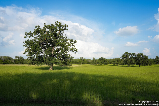8058 Milam County Road 455, Thorndale, Texas image 35