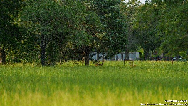 8058 Milam County Road 455, Thorndale, Texas image 40