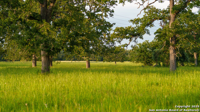 8058 Milam County Road 455, Thorndale, Texas image 41