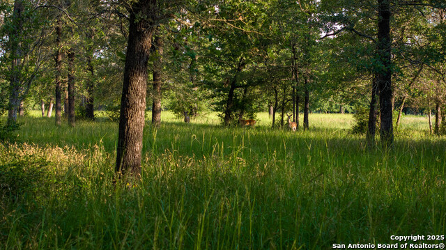 8058 Milam County Road 455, Thorndale, Texas image 46