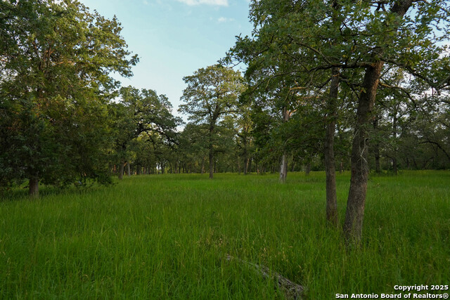 8058 Milam County Road 455, Thorndale, Texas image 49