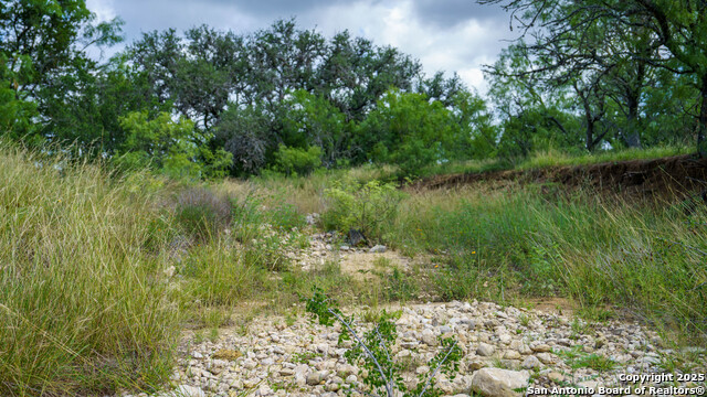 1231 B & R Road, Vanderpool, Texas image 12