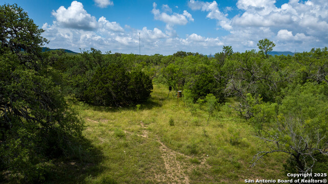 1231 B & R Road, Vanderpool, Texas image 17