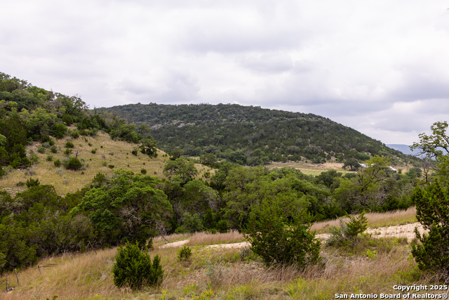 1600 Mickle Creek Rd, Medina, Texas image 1