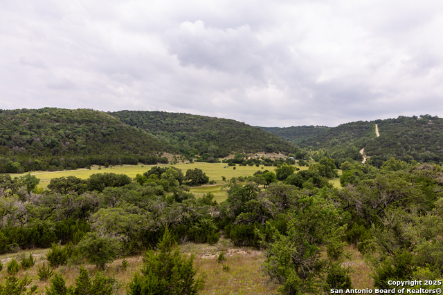 1600 Mickle Creek Rd, Medina, Texas image 2