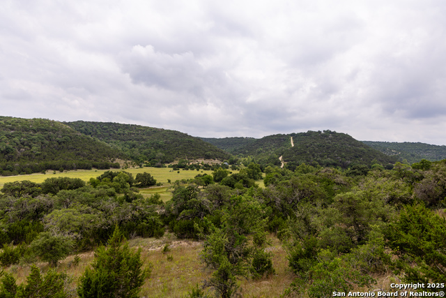 1600 Mickle Creek Rd, Medina, Texas image 3