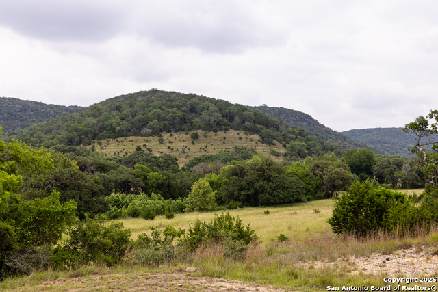 1600 Mickle Creek Rd, Medina, Texas image 7