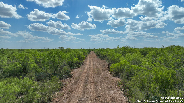000 Old Fowlerton Rd, Fowlerton, Texas image 3