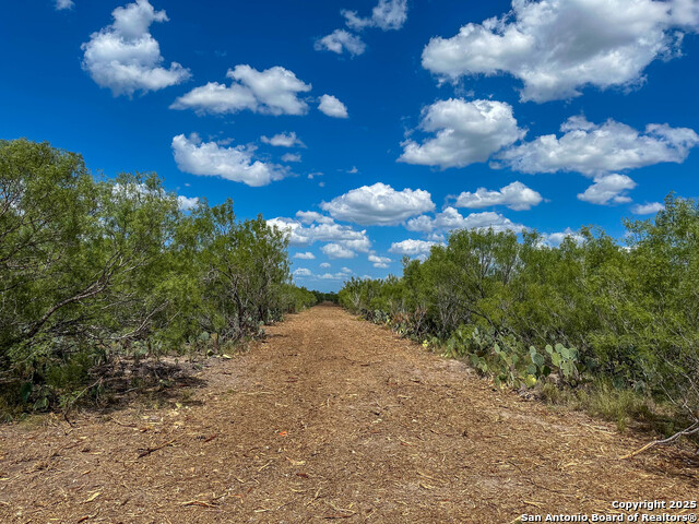 000 Old Fowlerton Rd, Fowlerton, Texas image 6