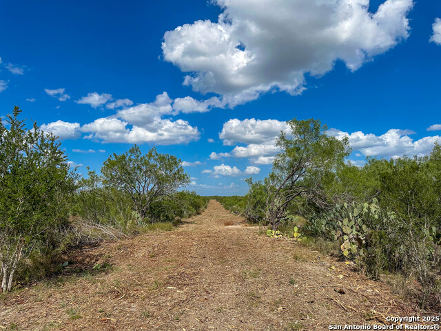 000 Old Fowlerton Rd, Fowlerton, Texas image 7