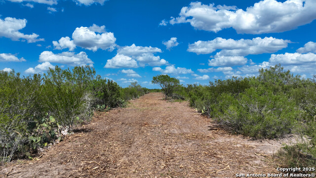 000 Old Fowlerton Rd, Fowlerton, Texas image 8