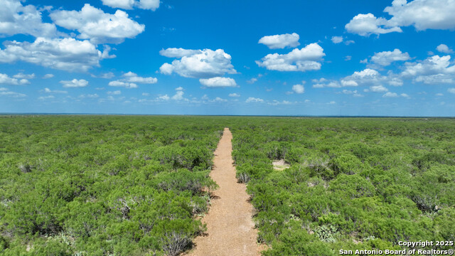 000 Cameron Ln, Fowlerton, Texas image 1