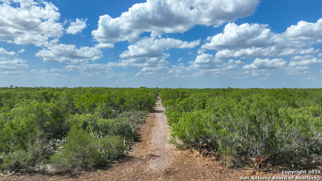 000 Cameron Ln, Fowlerton, Texas image 10