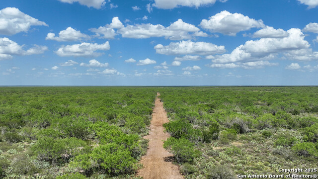 000 Cameron Ln, Fowlerton, Texas image 11