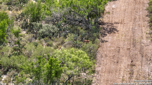 000 Cameron Ln, Fowlerton, Texas image 12