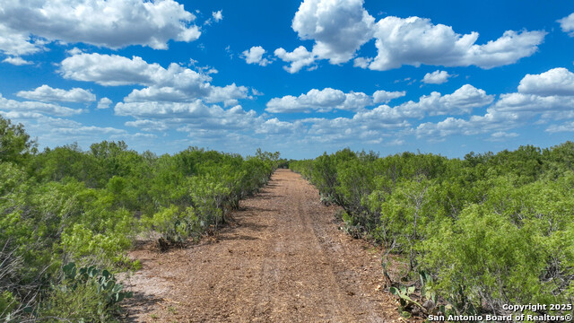 000 Cameron Ln, Fowlerton, Texas image 13
